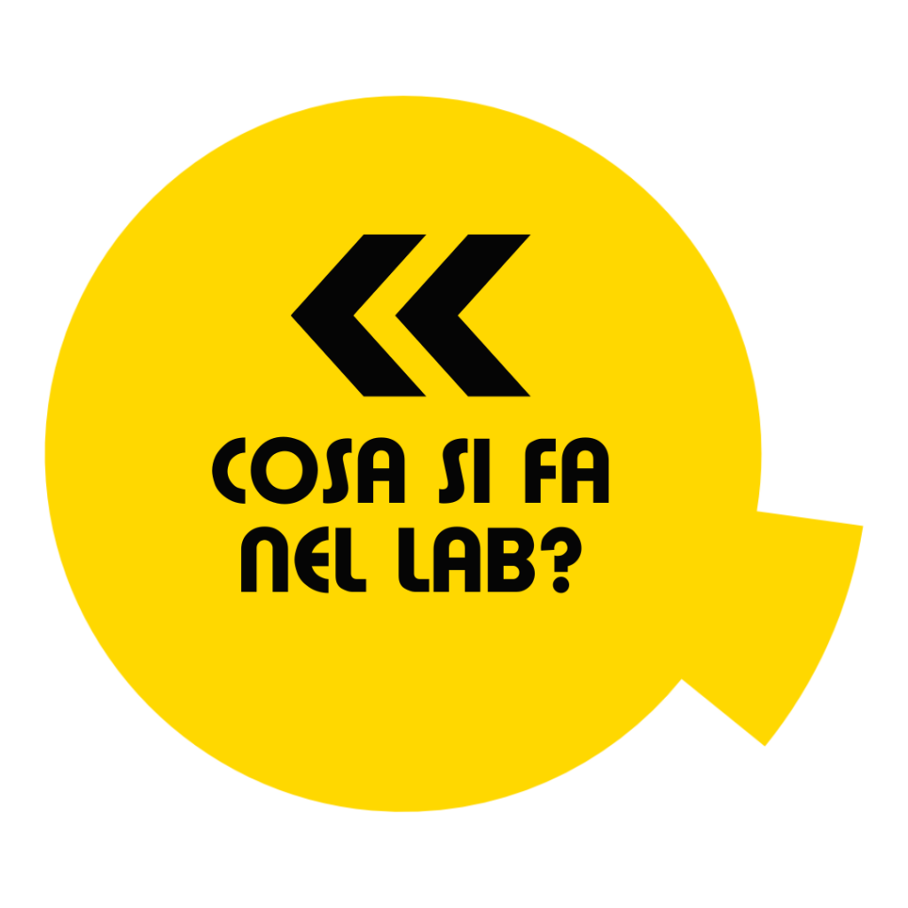 the conscious lab
